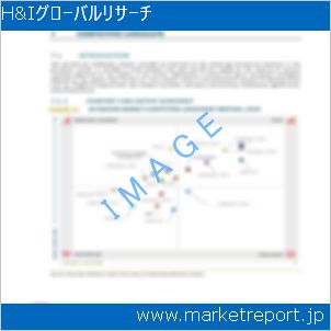 市場と産業調査レポートのイメージ
